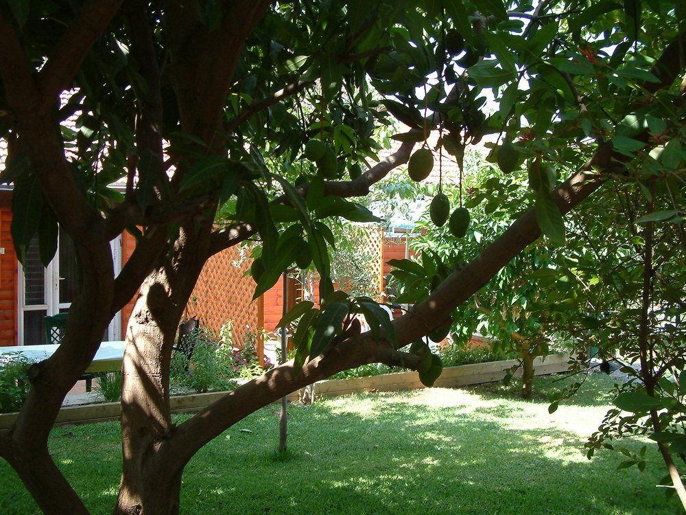 Villa Invito Rosh Piná Exterior foto